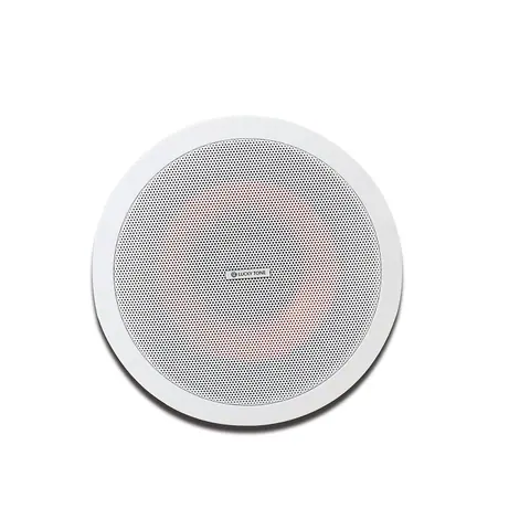 Lucky Tone High Performance 2-way Ceiling Speaker, product photo 3 of 5