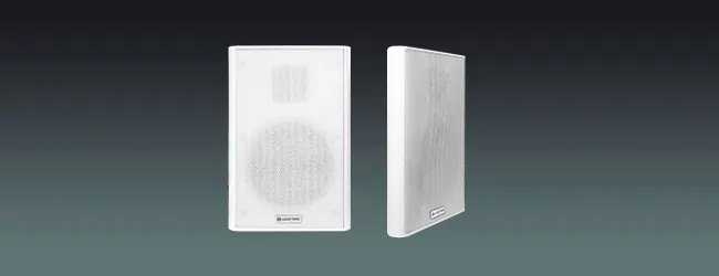 Lucky Tone Ultra-thin Wall Mount Speaker, product photo 1 of 7