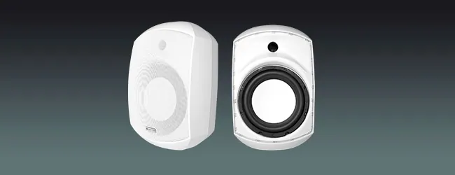 Lucky Tone Indoor Wall Mount Subwoofer, product photo 1 of 7