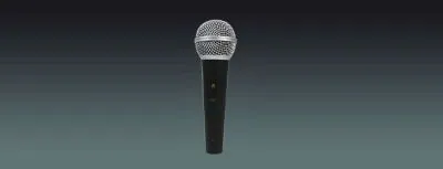 Lucky Tone Handheld Microphone, product photo 1 of 5