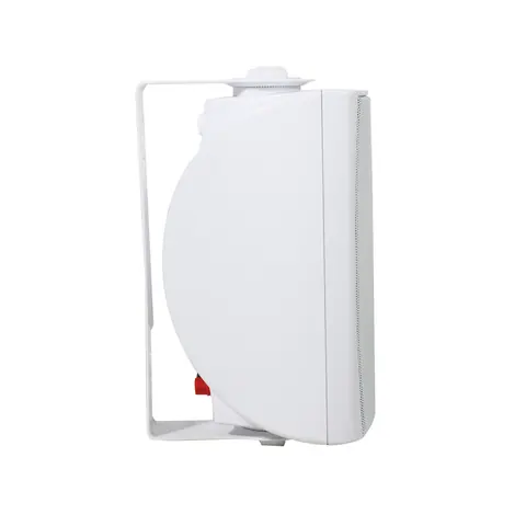 Lucky Tone High Fidelity Wall-mounted Speakers, product photo 5 of 8