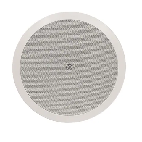 Lucky Tone Coaxial Ceiling Speaker with Optional Dome, product photo 3 of 7