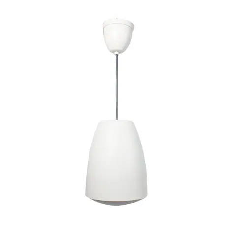 Lucky Tone 5″ Pendant speaker, product photo 2 of 7