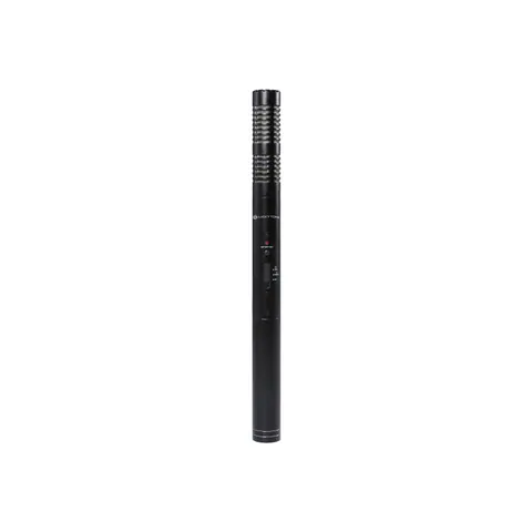 Lucky Tone Directional Condenser Microphone, product photo 2 of 7