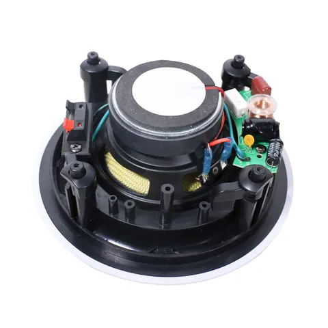 Lucky Tone Rimless Ceiling Speaker, product photo 6 of 7