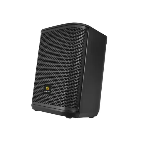 Lucky Tone 8-Inch Portable Speaker, product photo 6 of 10