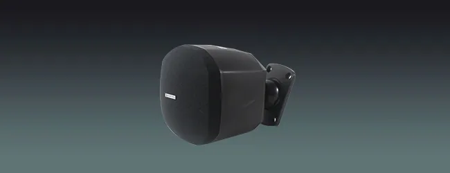 Lucky Tone High-performance 3.5inch Wall speaker, product photo 1 of 6