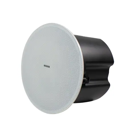 Lucky Tone Coaxial Ceiling Speaker with Kevlar Driver, product photo 2 of 7