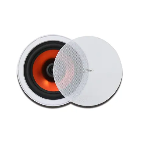 Lucky Tone High Performance 2-way Rimless Speaker, product photo 2 of 5