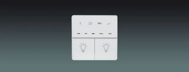 Lucky Tone 2-CH Bluetooth Wall Amplifier with Lighting Controls, product photo 1 of 8