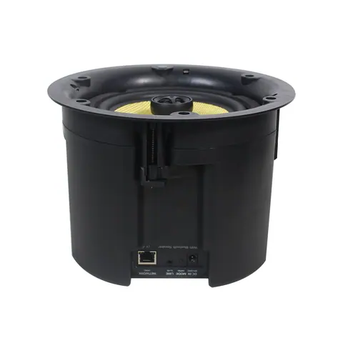 Lucky Tone High Performance Wi-Fi & BT Ceiling Speaker, product photo 8 of 9