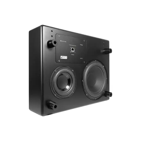 Lucky Tone Network Subwoofer with DSP, product photo 3 of 8