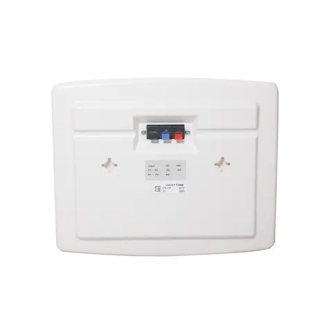 Lucky Tone Wall Mount Speaker, product photo 3 of 4
