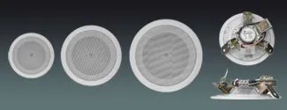 Lucky Tone Metal Coaxial Ceiling Speaker, product photo 1 of 5