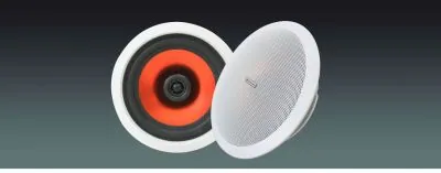 Lucky Tone High Performance 2-way Ceiling Speaker, product photo 1 of 5