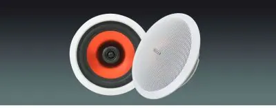 Lucky Tone High Performance 2-way Ceiling Speaker, product photo 1 of 5