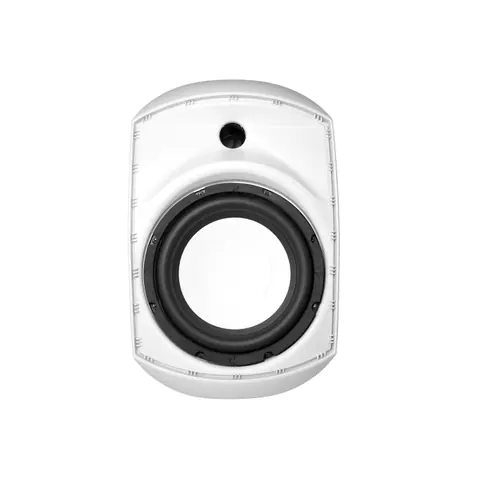 Lucky Tone Indoor Wall Mount Subwoofer, product photo 2 of 7