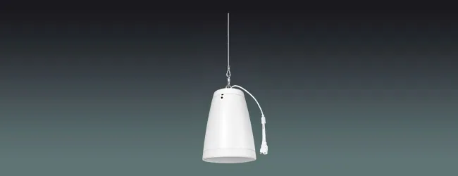 Lucky Tone ONVIF Network Pendant Speaker, product photo 1 of 6