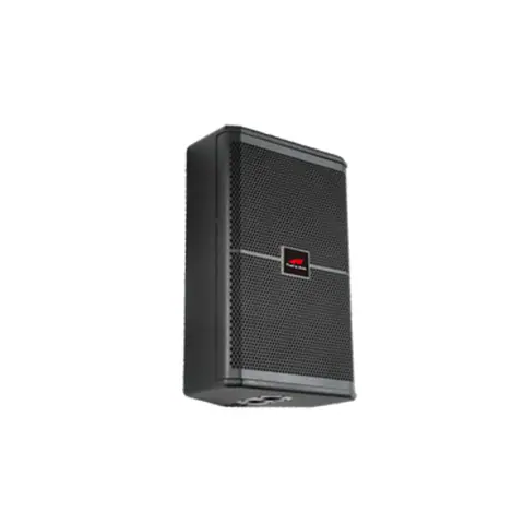 Lucky Tone 12″ High-Power Two-Way Stage Monitor, product photo 2 of 2