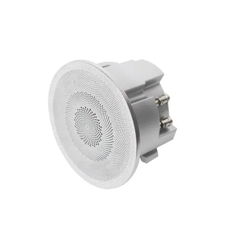 Lucky Tone Compact Ceiling Speaker System, product photo 9 of 10