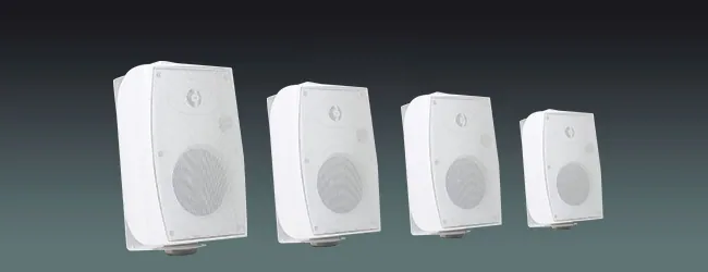 Lucky Tone High Fidelity Wall-mounted Speakers, product photo 1 of 8