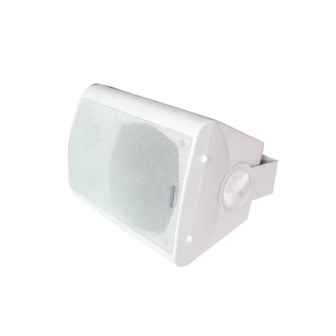 Lucky Tone Wall Mount Speakers, product photo 6 of 7