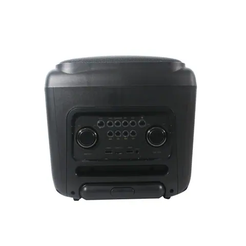 Lucky Tone 10/12-Inch Bluetooth Trolley Speaker, product photo 4 of 8
