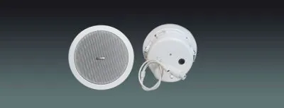 Lucky Tone SIP Ceiling Speaker (15W Rated), product photo 1 of 4