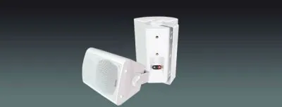 Lucky Tone Wall Mount Speakers, product photo 1 of 7