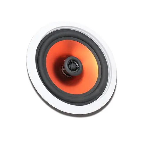 Lucky Tone High Performance 2-way Ceiling Speaker, product photo 4 of 5
