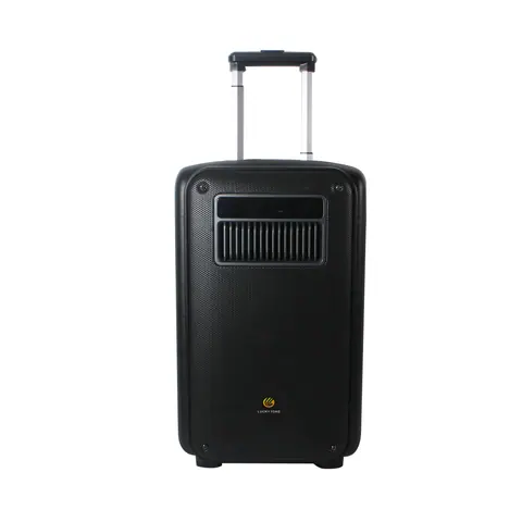 Lucky Tone 10/12-Inch Bluetooth Trolley Speaker, product photo 2 of 8