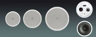 Lucky Tone Coaxial Ceiling Speaker with Optional Dome, product photo 1 of 7